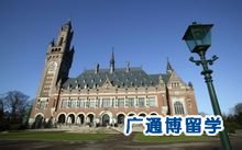 海牙国际法庭