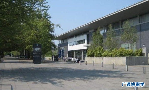 爱尔兰留学