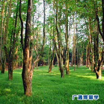 研究生乌克兰留学费用