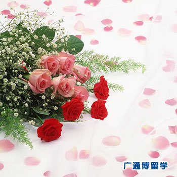 乌克兰留学中介