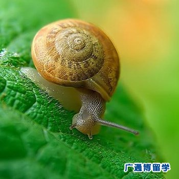 乌克兰大学传媒专业排名