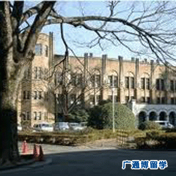 日本大学经济学排名
